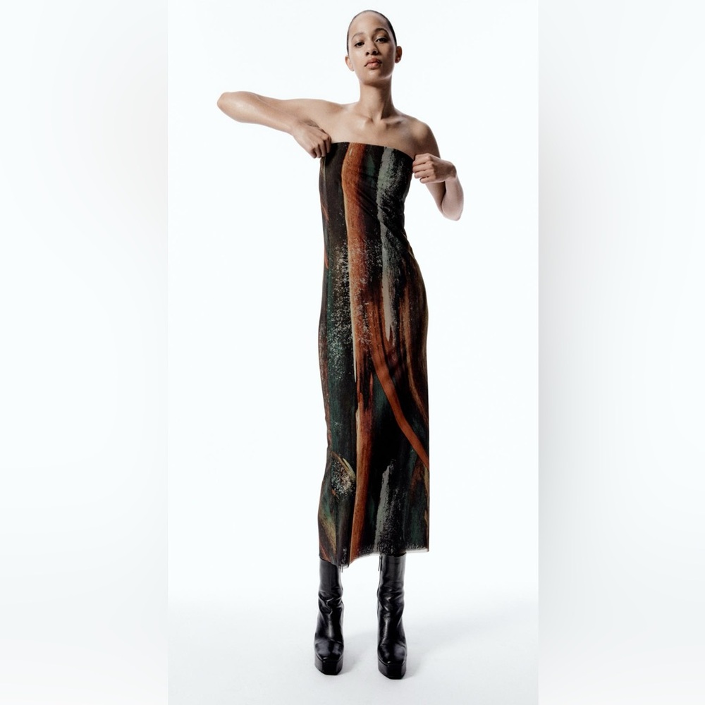 Zara tulle printed midi dress